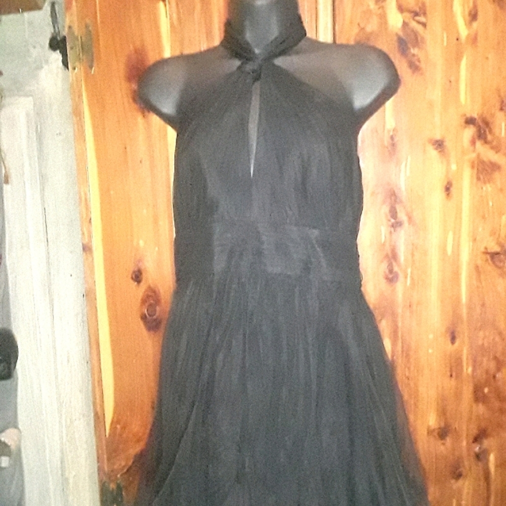 BCBG Prom Dress/Evening Gown/Graduation